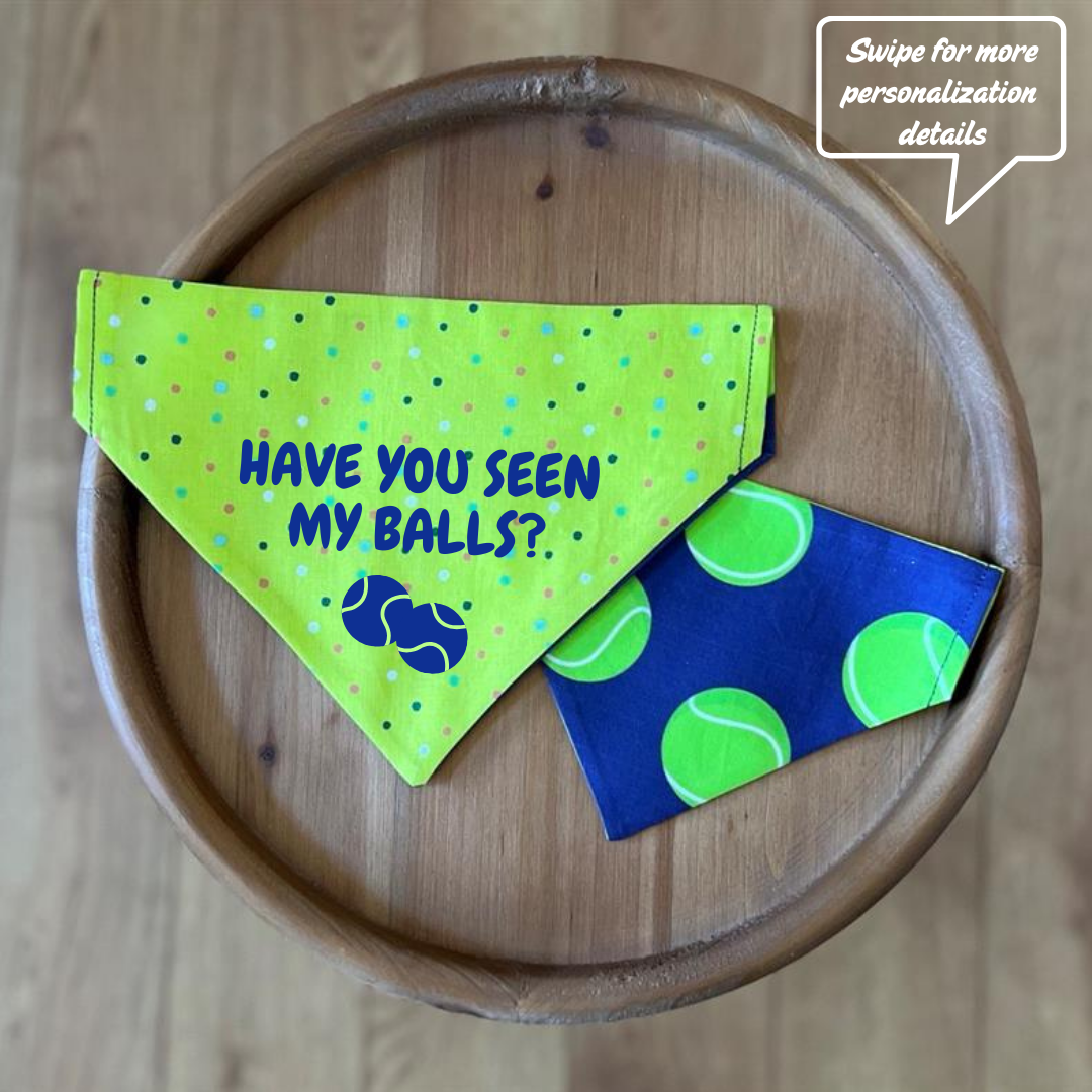 Go Fetch / LAST CHANCE / Reversible / Over-the-Collar / Pet Bandana / CLEARANCE