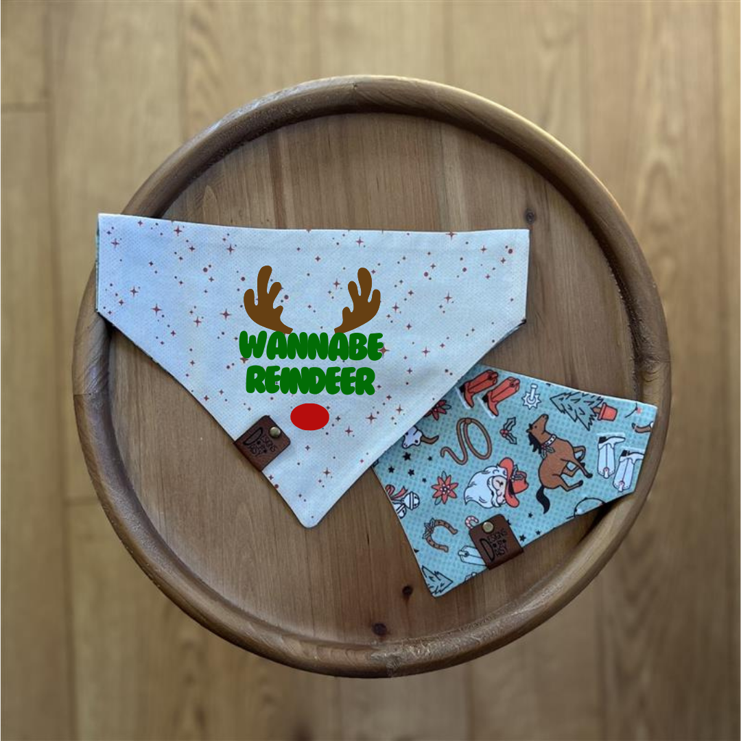 Yeehaw Winter / Reversible / Over-the-Collar / Pet Bandana / CLEARANCE