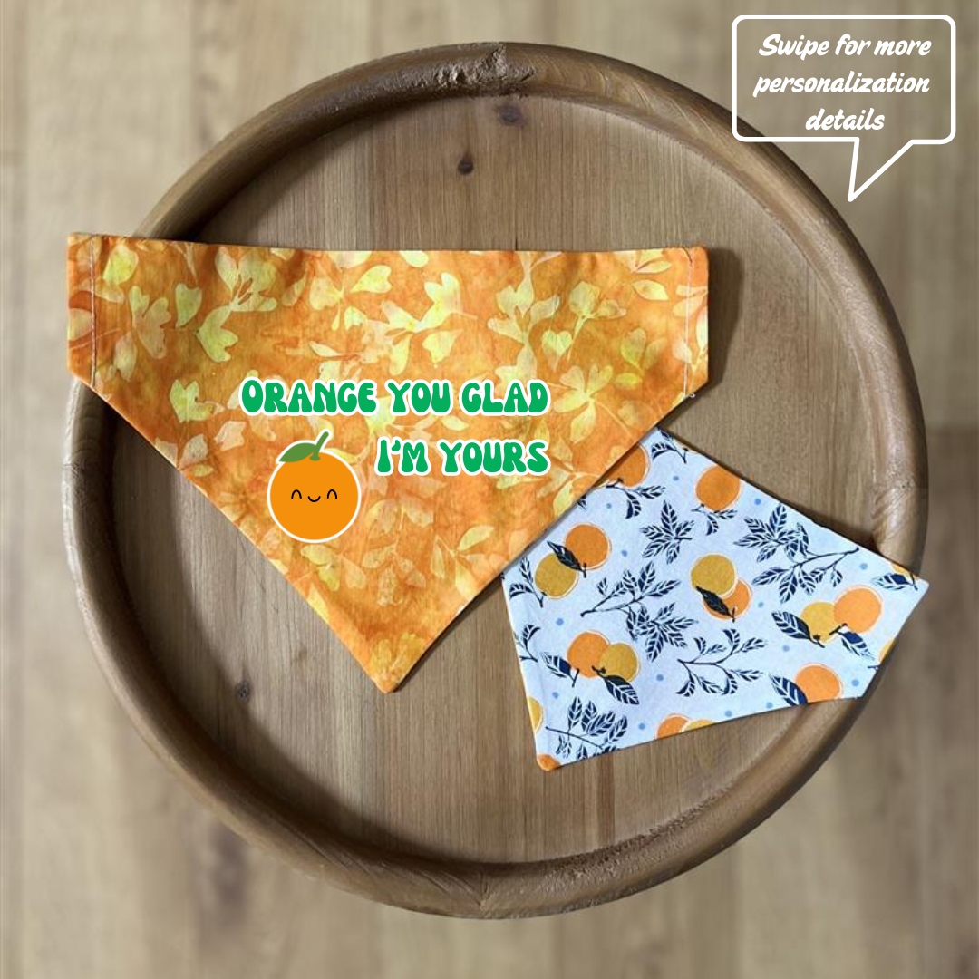 Orange You Glad / Reversible / Over-the-Collar / Pet Bandana