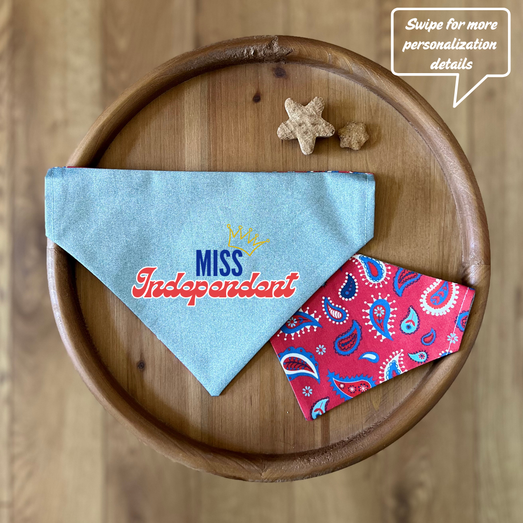 Paisley Pup / LAST CHANCE / Reversible / Over-the-Collar / Pet Bandana