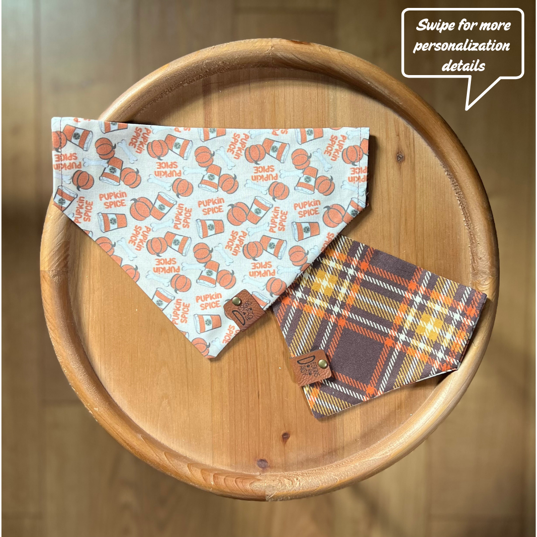 Pumpkin Spice / LAST CHANCE / Reversible / Over-the-Collar / Pet Bandana