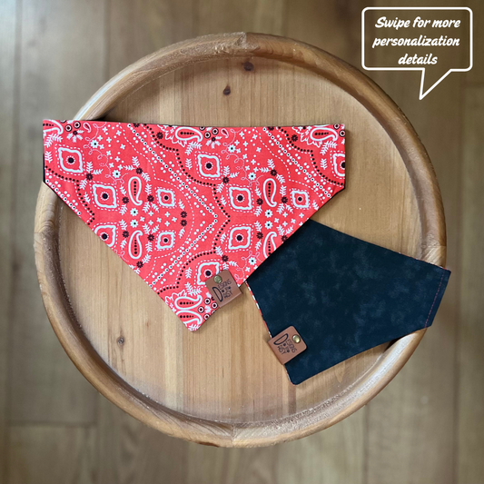 Simply Paisley / LAST CHANCE / Reversible / Over-the-Collar / Pet Bandana / CLEARANCE