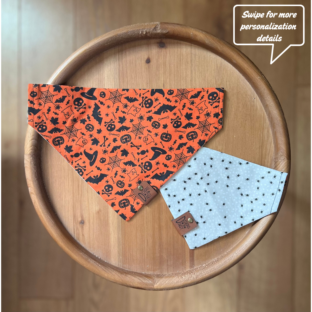 Spider Crawl / LAST CHANCE / Reversible / Over-the-Collar / Pet Bandana