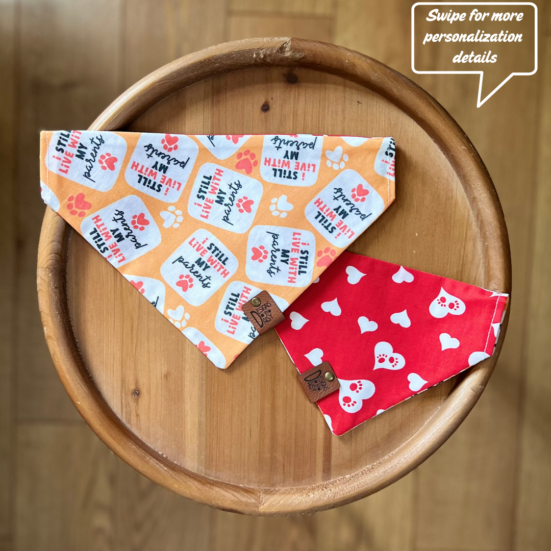 Furever Roommate / LAST CHANCE / Reversible / Over-the-Collar / Pet Bandana