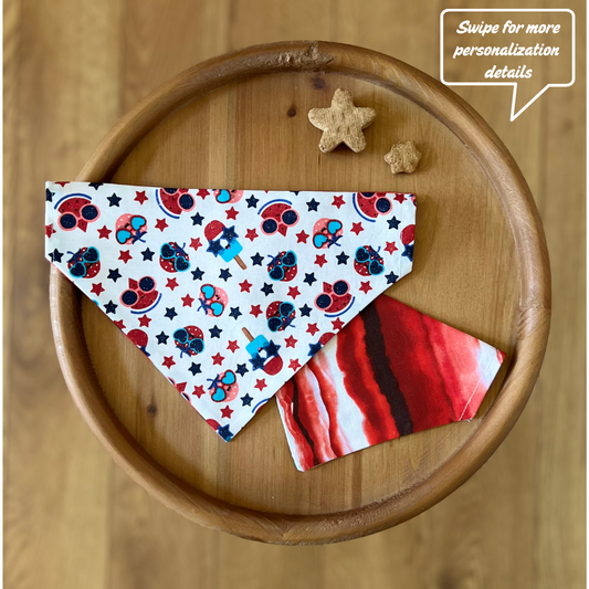 Sweet Pupsicle / LAST CHANCE / Reversible / Over-the-Collar / Pet Bandana / CLEARANCE