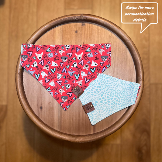 You Make Me Drool / Reversible / Over-the-Collar / Pet Bandana
