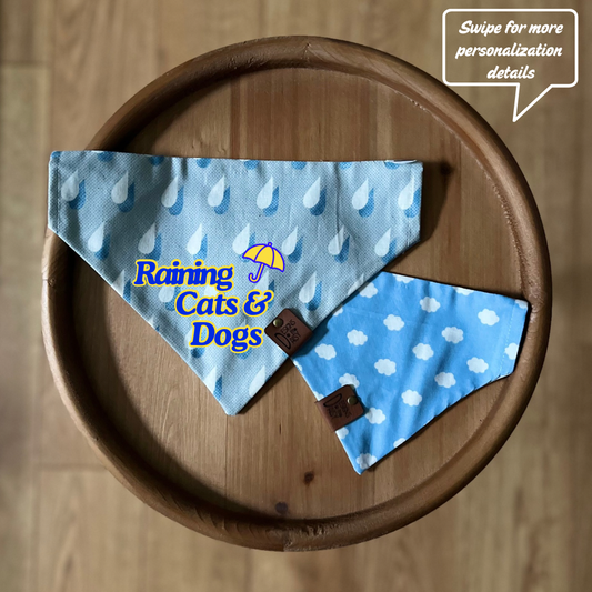 April Showers / Reversible / Over-the-Collar / Pet Bandana
