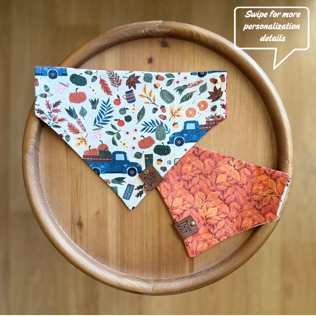 Harvest Haul / LAST CHANCE / Reversible / Over-the-Collar / Pet Bandana