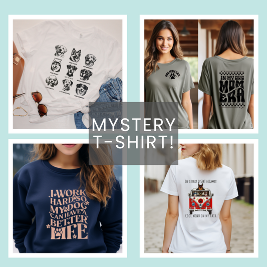 Mystery T-Shirt!