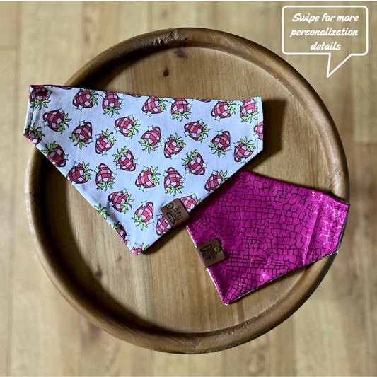 Berry Groovy / Reversible / Over-the-Collar / Pet Bandana