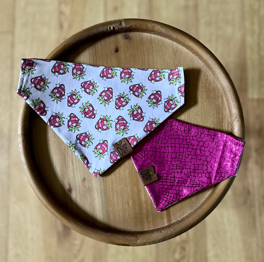 Berry Groovy / Reversible / Over-the-Collar / Pet Bandana