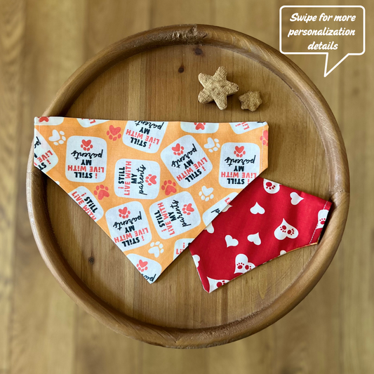 Furever Roommate / LAST CHANCE / Reversible / Over-the-Collar / Pet Bandana