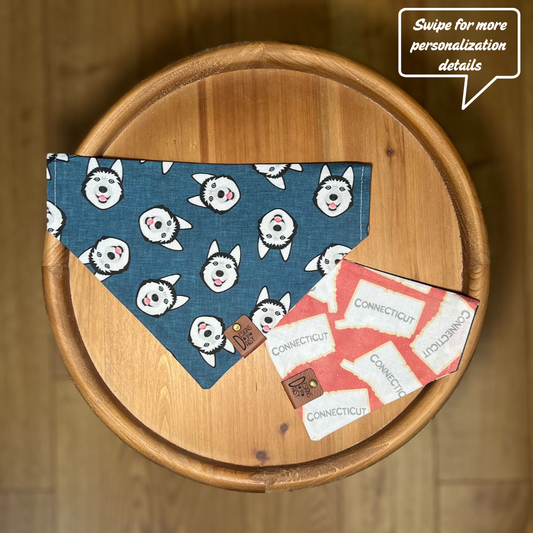 Go Huskies! / Reversible / Over-the-Collar / Pet Bandana