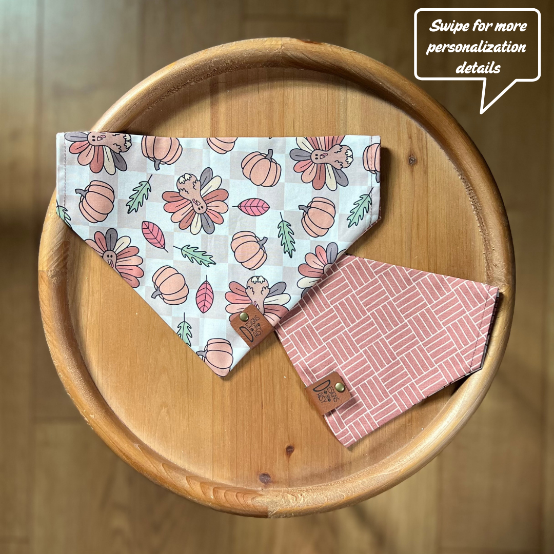 Gobble Gobble / LAST CHANCE / Reversible / Over-the-Collar / Pet Bandana