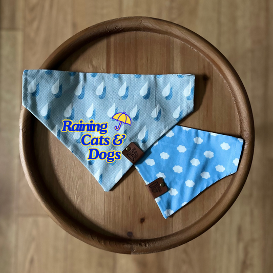 April Showers / Reversible / Over-the-Collar / Pet Bandana