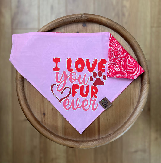Swirl Love You / LAST CHANCE / Reversible / Over-the-Collar / Pet Bandana / CLEARANCE