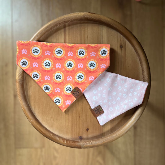 Fursace / Reversible / Over-the-Collar / Pet Bandana