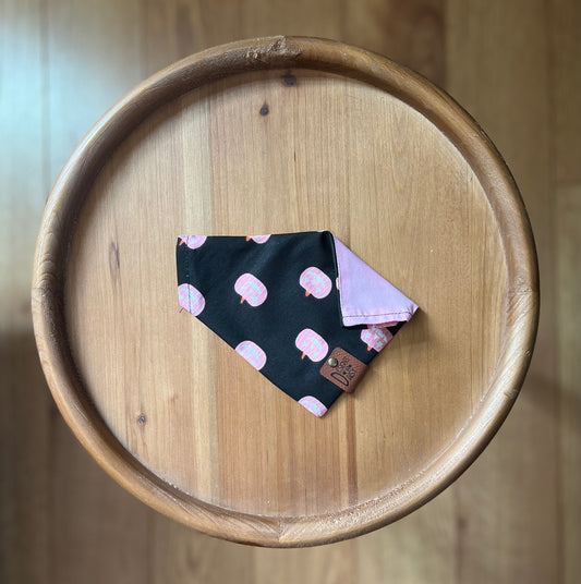 Pink Pumpkins / LAST CHANCE / Reversible / Over-the-Collar / Pet Bandana / CLEARANCE