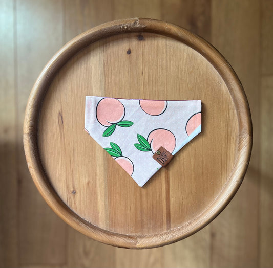 Peaches and Plants Oopsies / LAST CHANCE / Reversible / Over-the-Collar / Pet Bandana / CLEARANCE