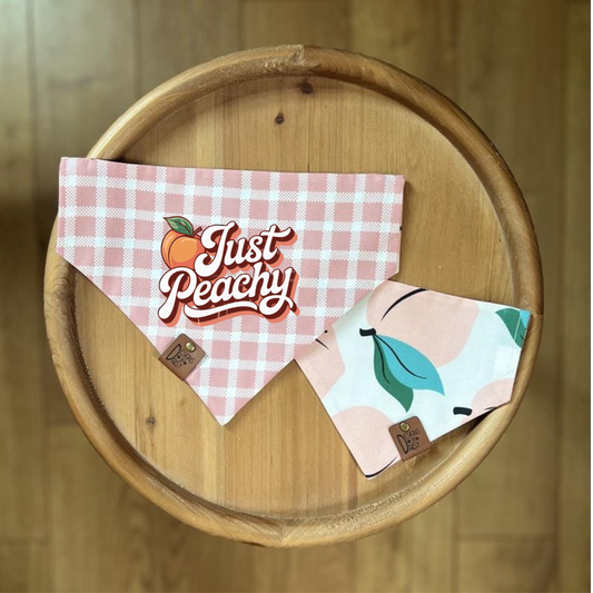Just Peachy / Reversible / Over-the-Collar / Pet Bandana