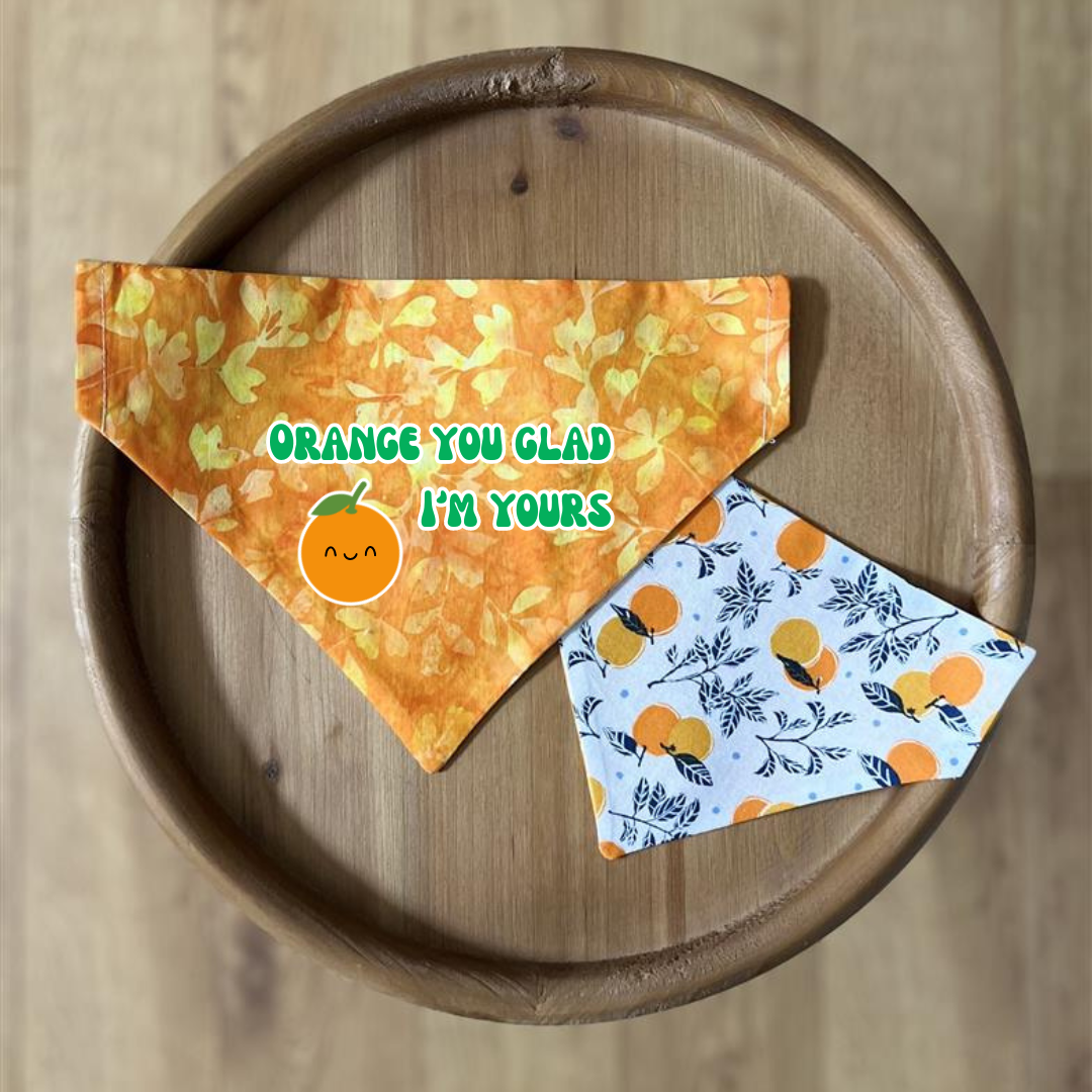 Orange You Glad / Reversible / Over-the-Collar / Pet Bandana