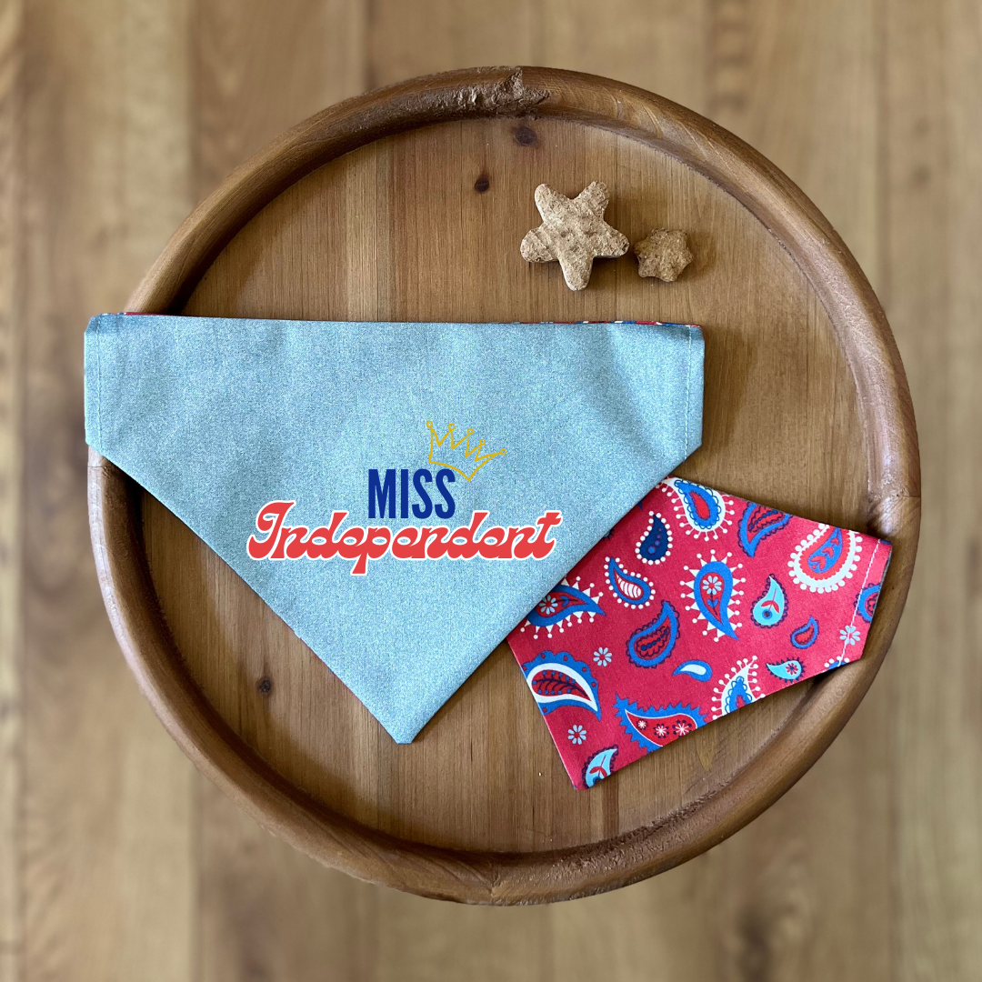 Paisley Pup / Reversible / Over-the-Collar / Pet Bandana / CLEARANCE