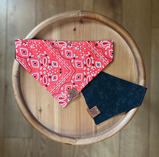 Simply Paisley / LAST CHANCE / Reversible / Over-the-Collar / Pet Bandana