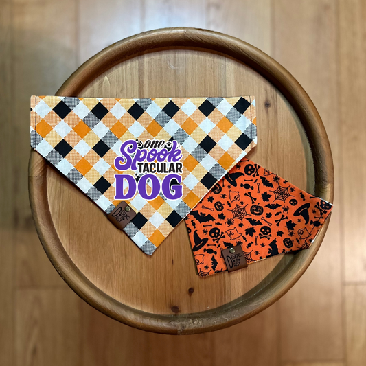 Spooky Dog / Reversible / Over-the-Collar / Pet Bandana