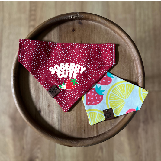 Strawberry Lemonade / Reversible / Over-the-Collar / Pet Bandana