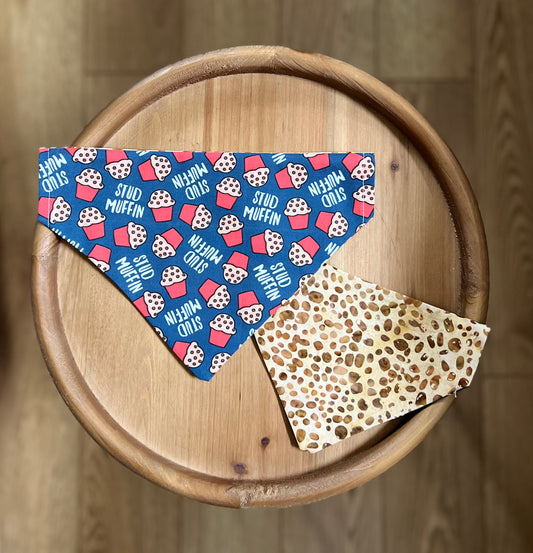 Stud Muffin / Reversible / Over-the-Collar / Pet Bandana