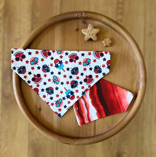 Sweet Pupsicle / Reversible / Over-the-Collar / Pet Bandana / CLEARANCE